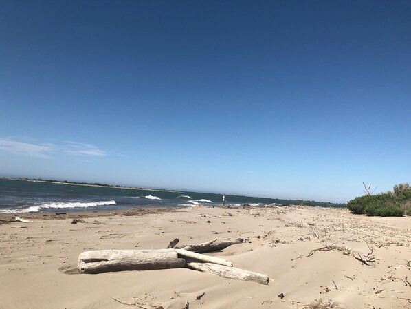 Strand