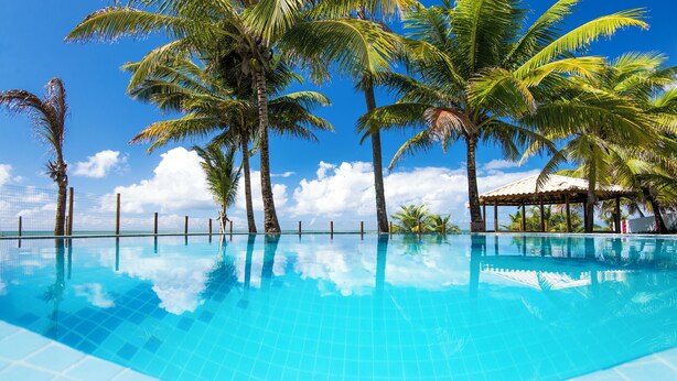 Piscina azul cristalina rodeada de palmeras y una estructura de madera.