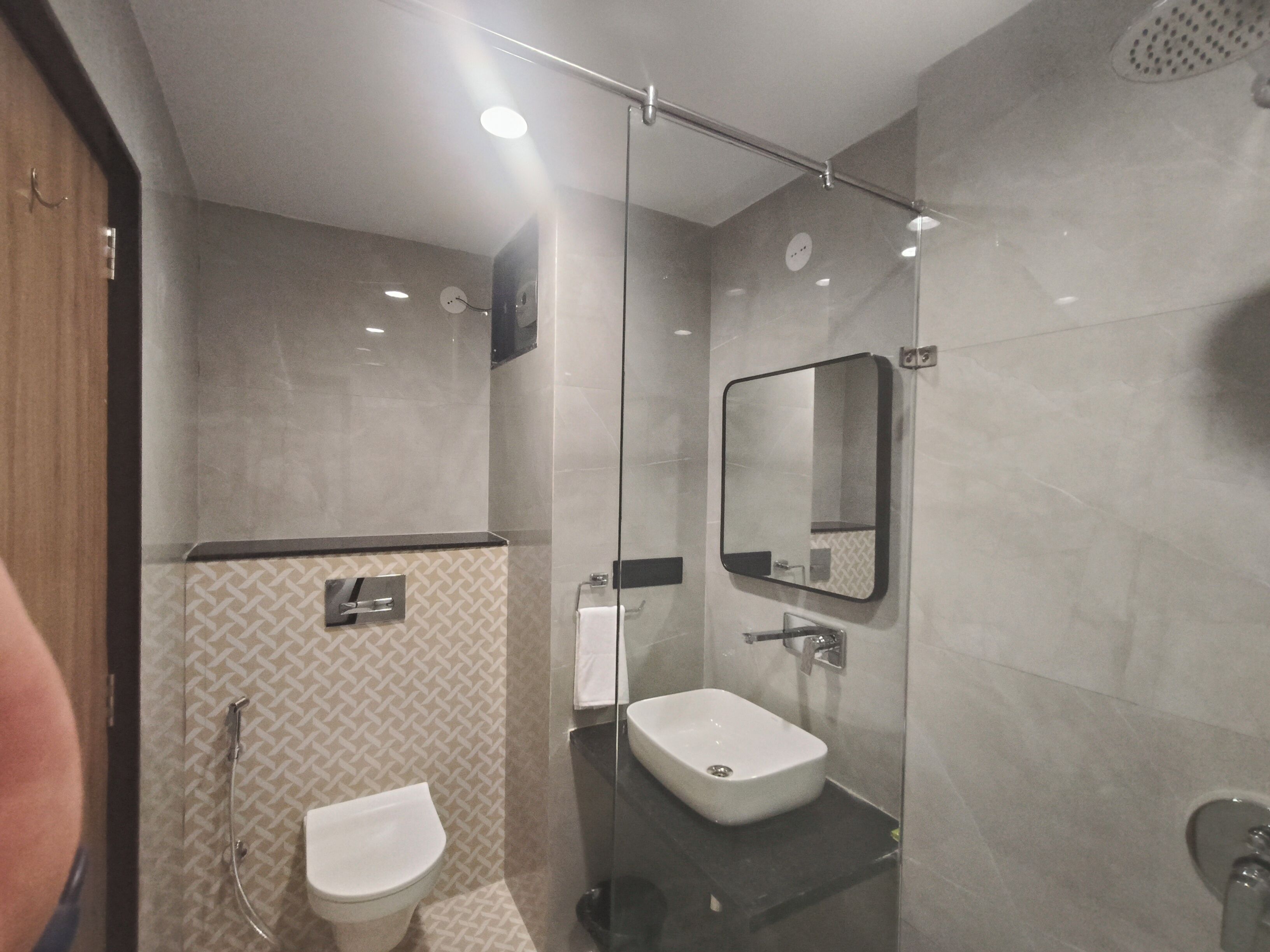 A modern bathroom with a glass shower enclosure, a white sink, and a toilet.