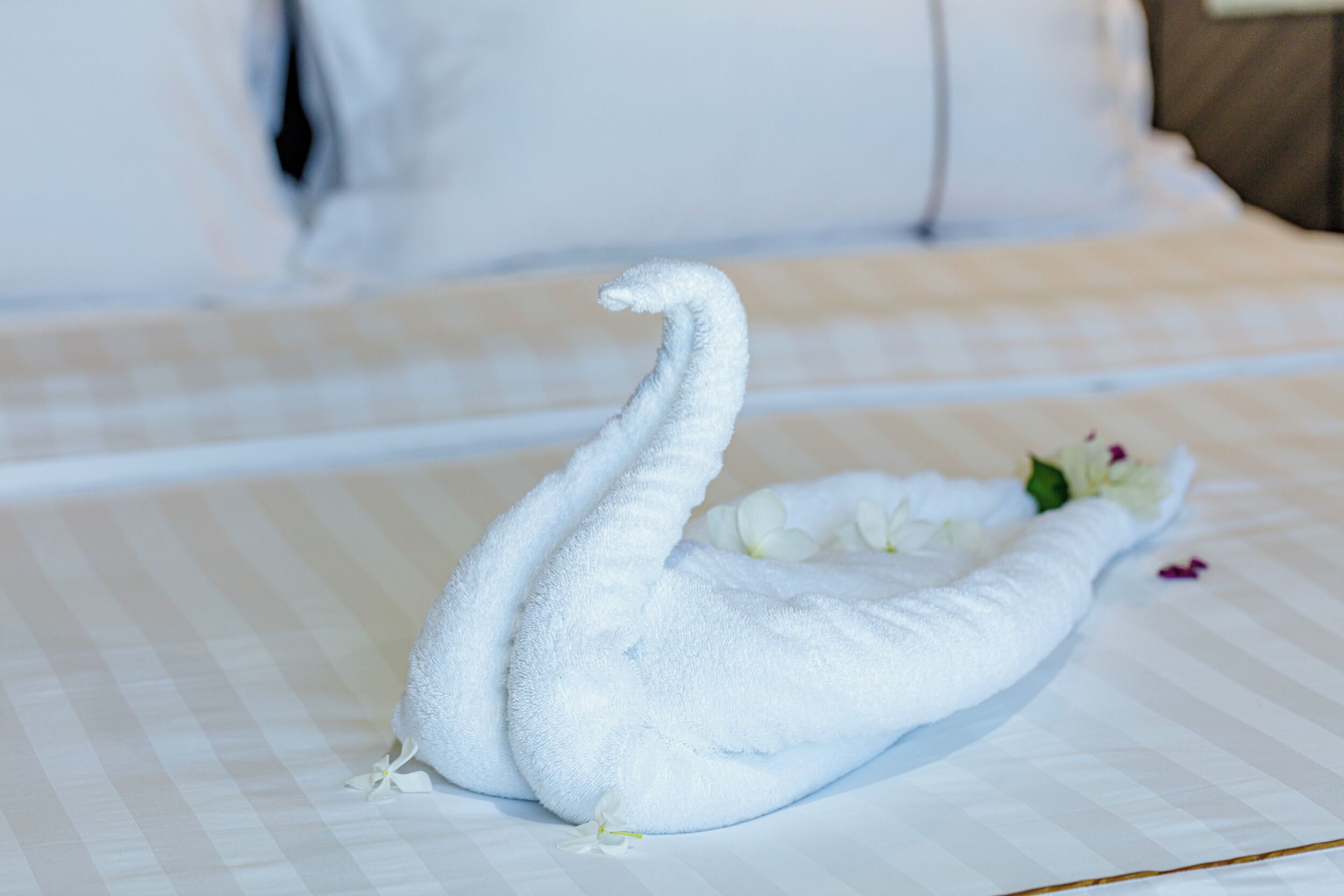 Una toalla con forma de cisne sobre una cama con colcha a cuadros.