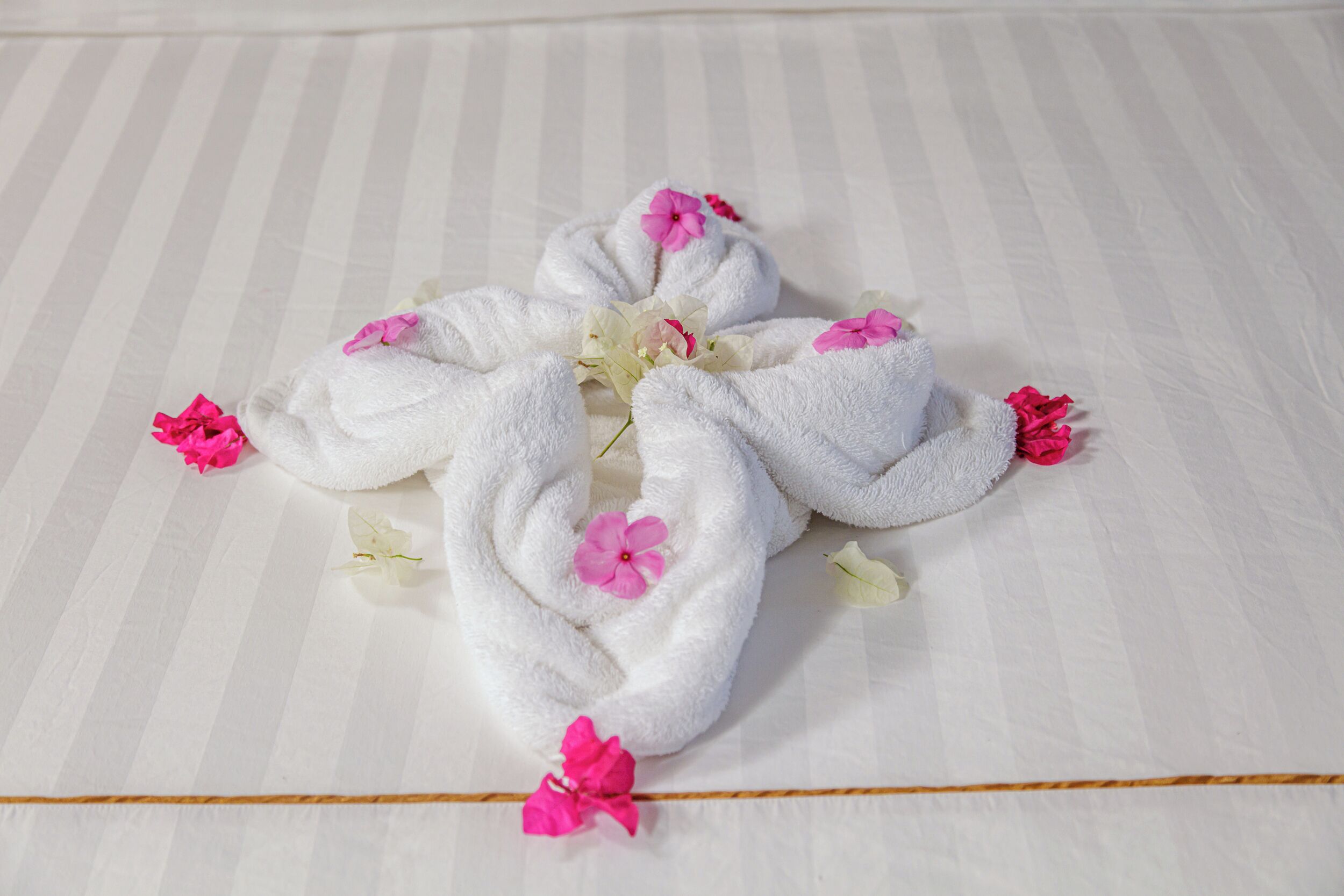 Foto - Royal Villa Fulidhoo