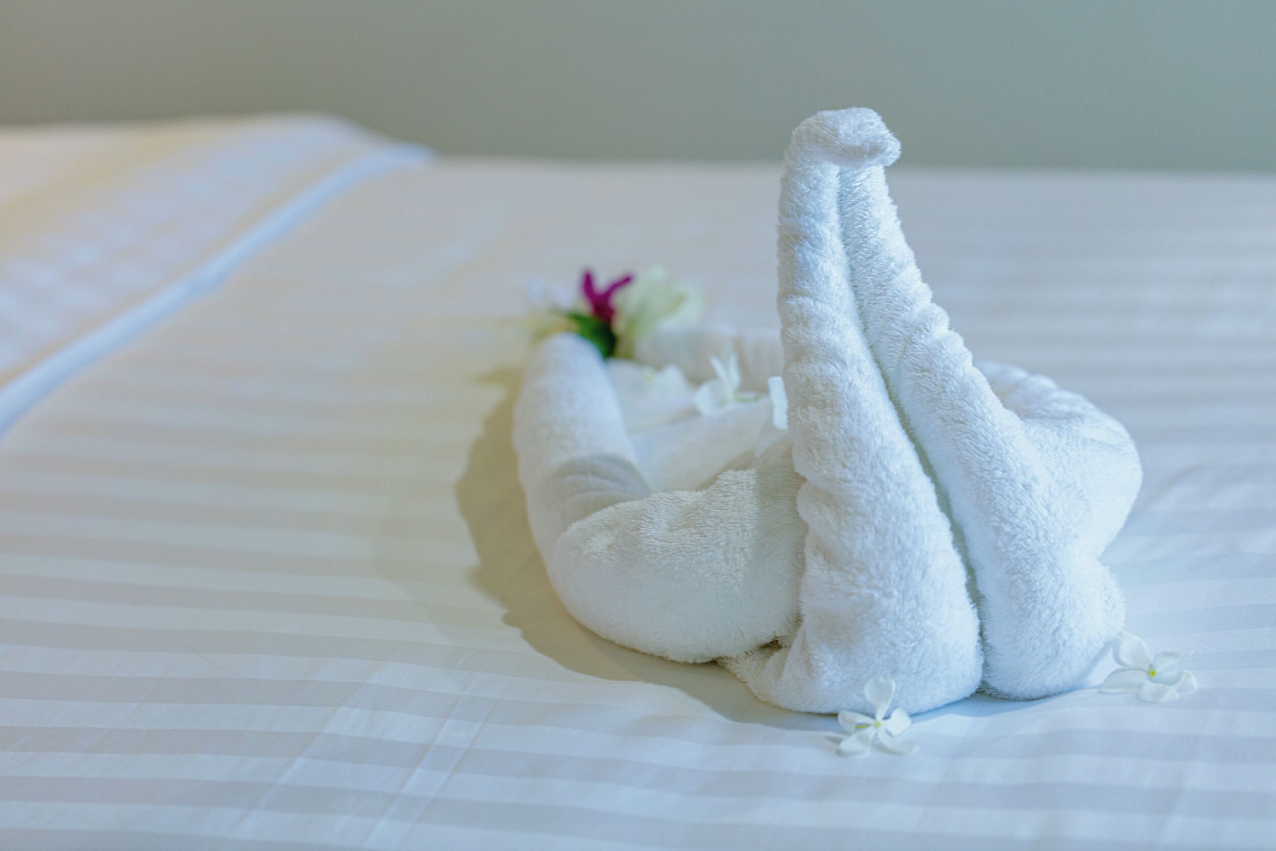 Una cama bien hecha con una toalla blanca dispuesta en forma de cisne, acompañada de una pequeña flor.