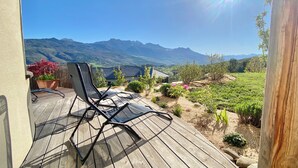 Eine Holzterrasse mit einem Stuhl, einem Blumentopf und Blick auf die Berge.