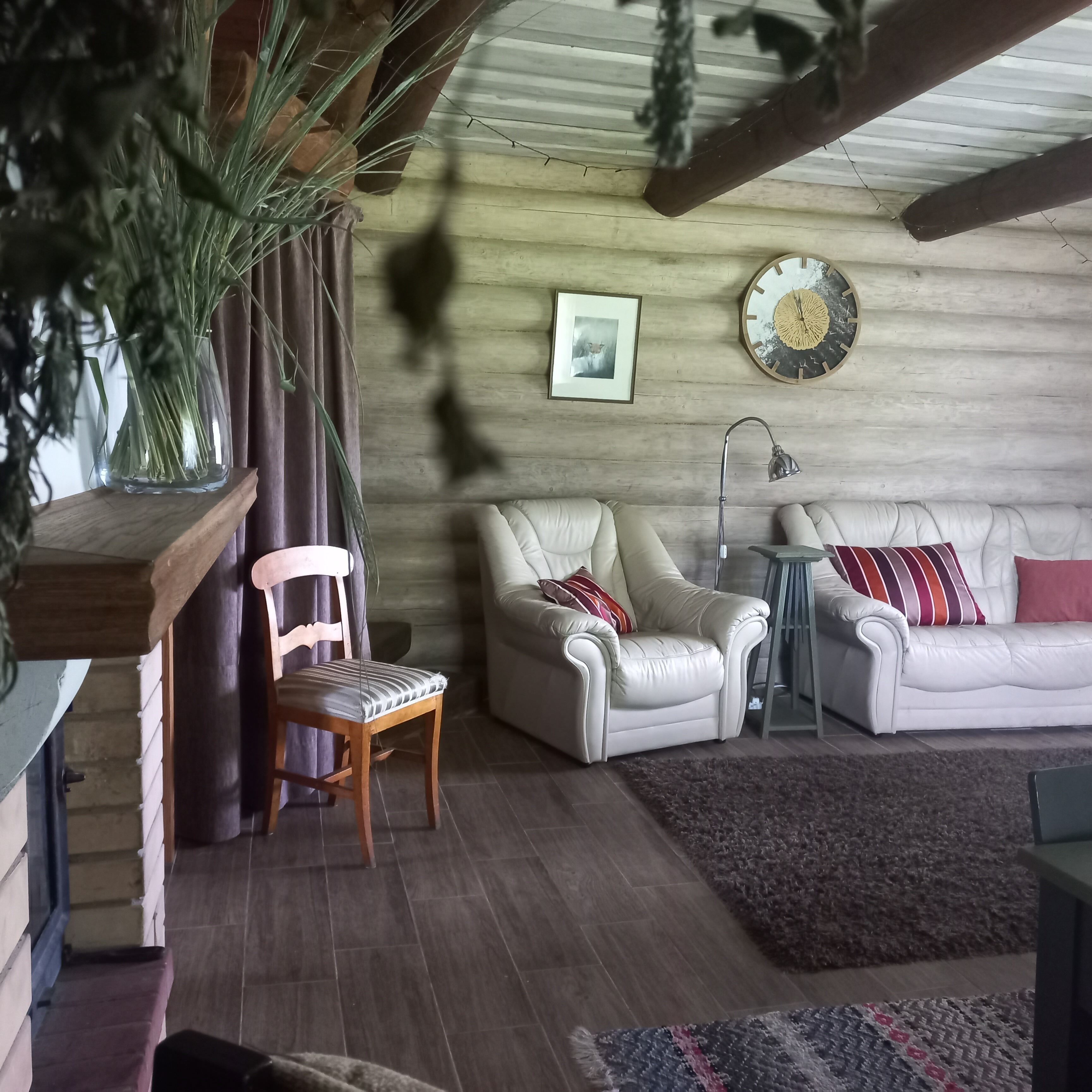 Smart TV, fireplace, books, printers