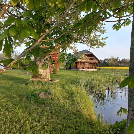 Property grounds. Family-friendly guest house Jaundzelves – nature, biking & bog lake adventures