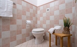 Hair dryer, bidet, towels