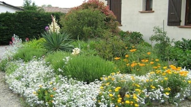 A garden with various flowers and plants in front of a building with a white facade and brown shutters.