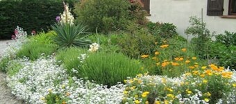 STUDIO 30 M2 ground floor sleeping area and terrace