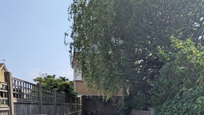 A backyard with a wooden fence, a shed, and a brick wall.