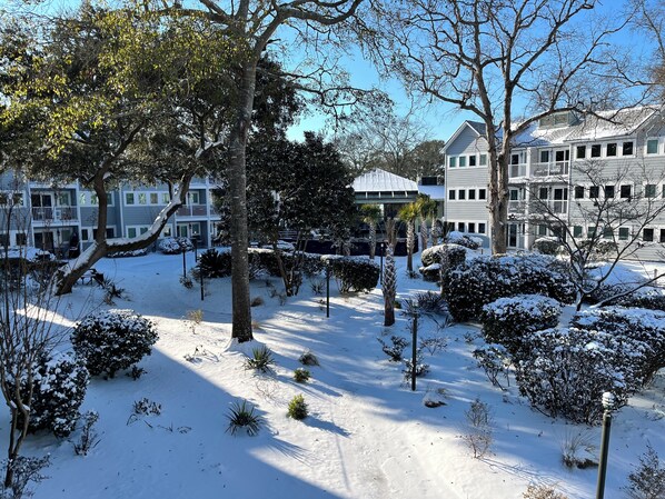 Un quartier résidentiel où le sol, les arbres et les bâtiments sont recouverts de neige.
