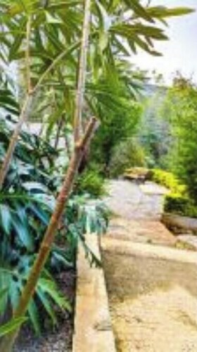 VALLEY VIEW INN, Kotagiri