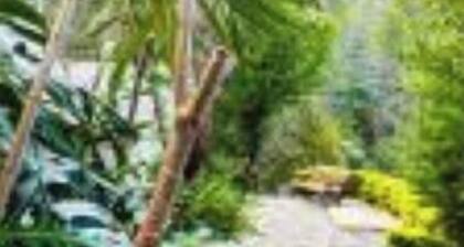 VALLEY VIEW INN, Kotagiri