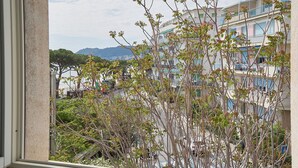 Vista a través de una ventana que muestra un edificio con balcones, una montaña al fondo y vegetación en primer plano.