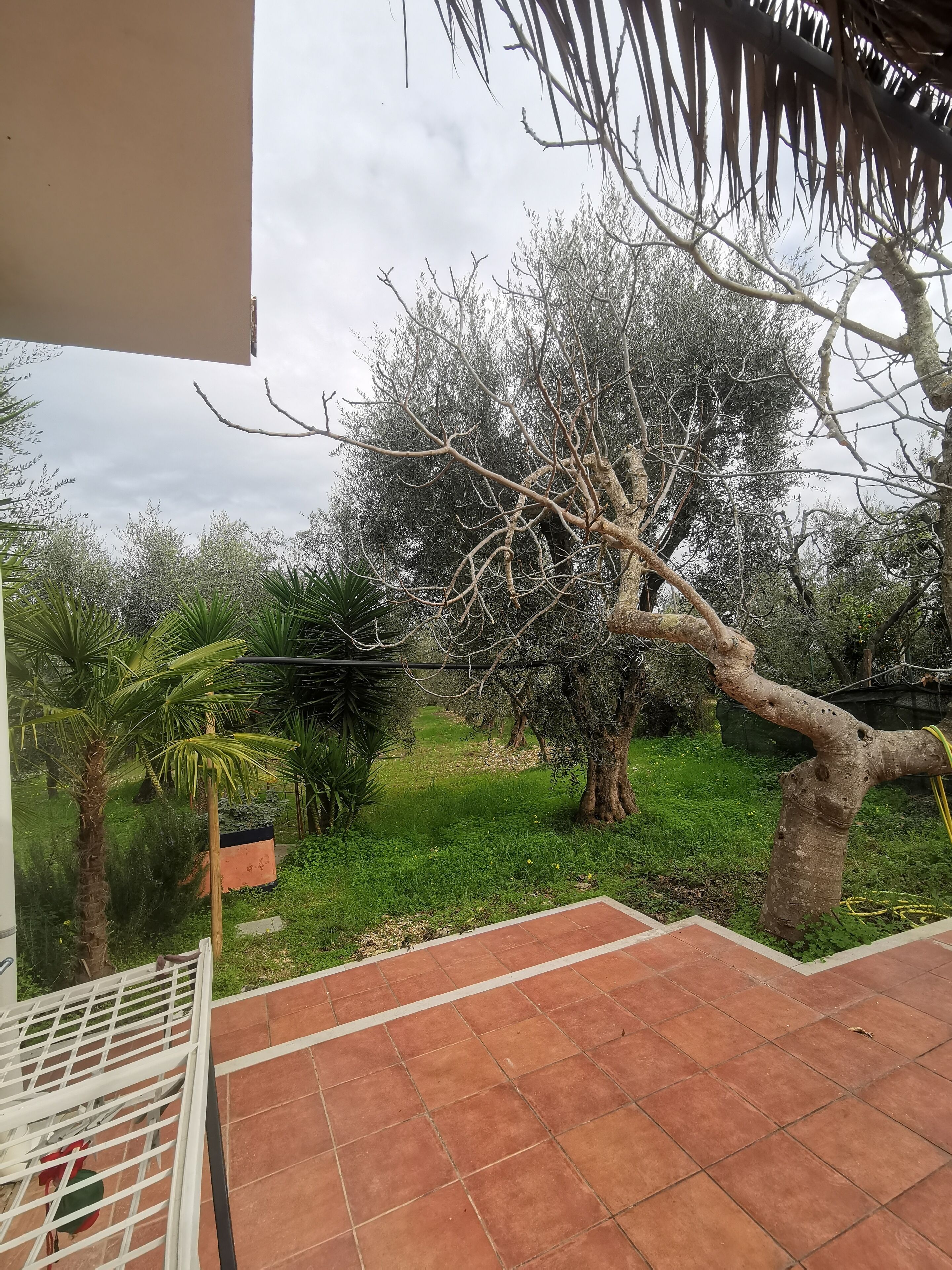 Parco della struttura