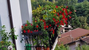 A balcony with potted plants and flowers. - 3-bedroom apartment in gorgeous Dizzasco with WiFi (Dizzasco)