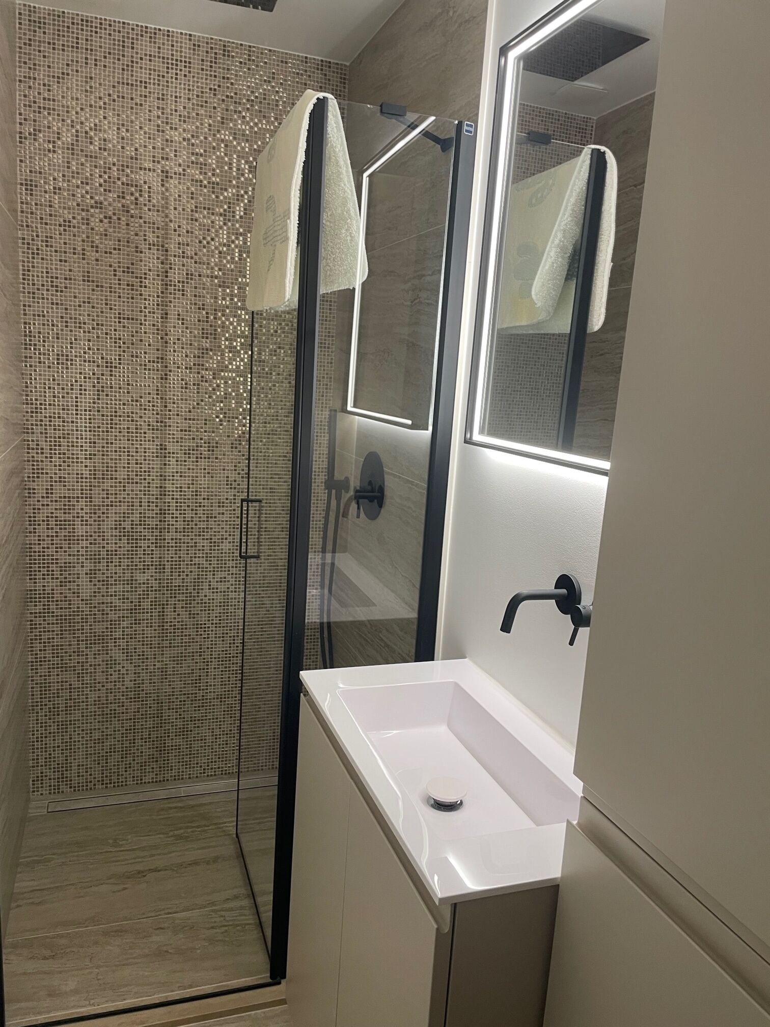 Hair dryer, towels, toilet paper