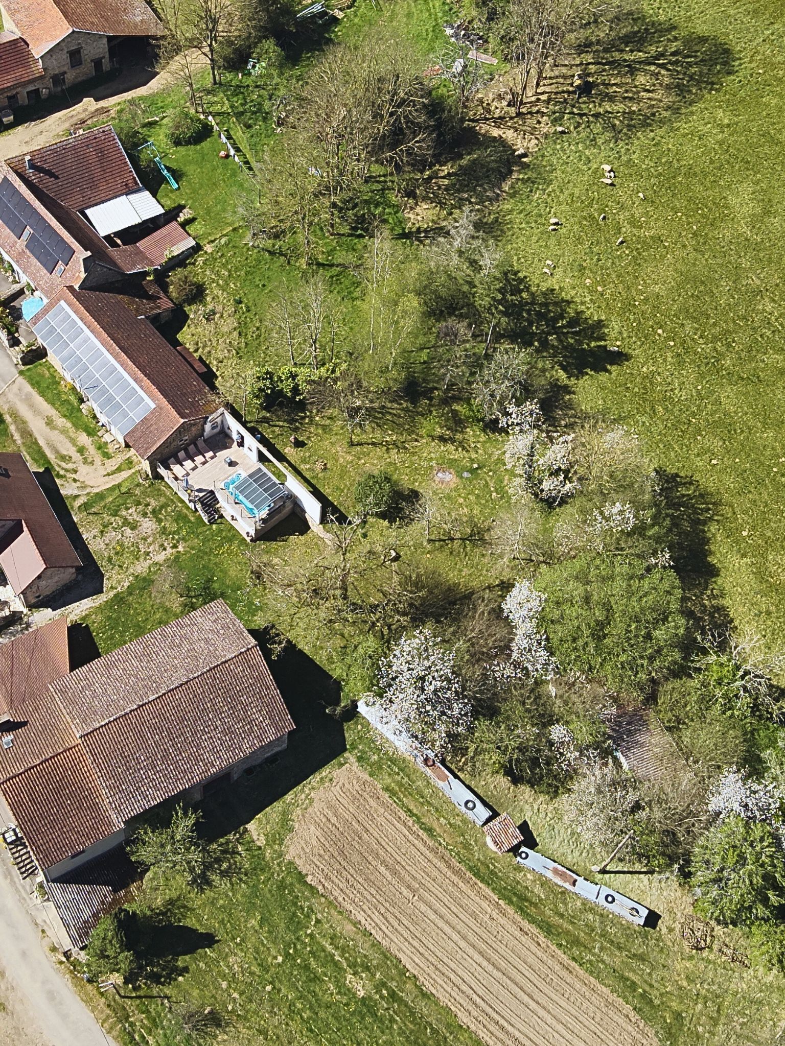 An aerial view of a residential area with houses, a swimming pool, and a field.