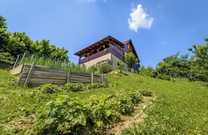 Exterior - Vita Natura house in wonderful Rukljevina with sauna and jacuzzi (Rukljevina)