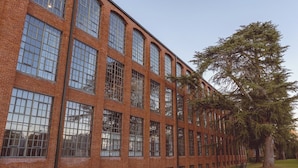 Edifici de maó vermell amb grans finestres i un arbre al primer pla.