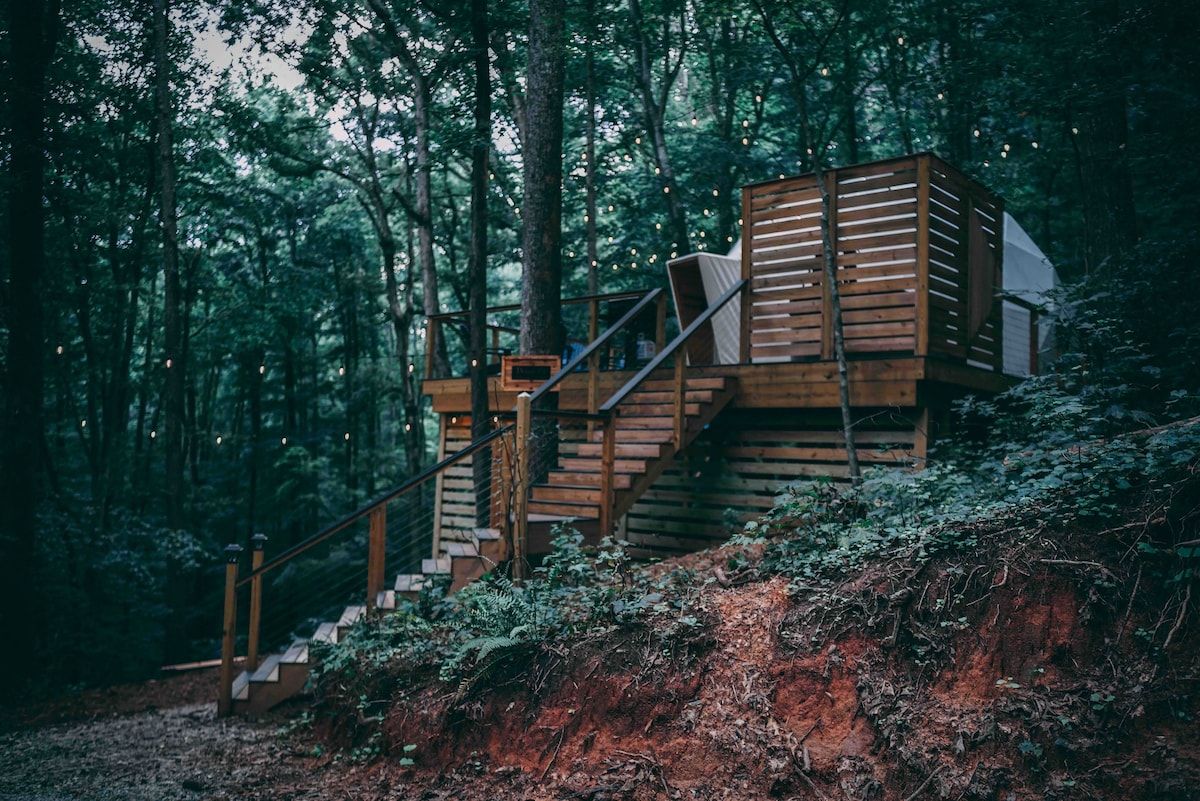 A wooden staircase leading to a cabin in a forested area.