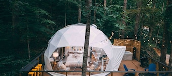 Treetop Getaway w/ Hot Tub • Peaceful retreat