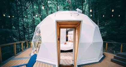 Treetop Getaway w/ Hot Tub • Peaceful retreat