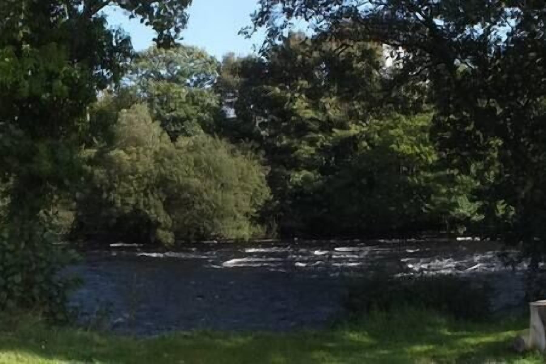 Un fiume circondato da alberi e vegetazione fitta.