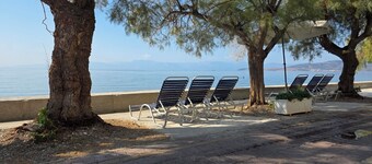 Garden apartment 20m from the sea