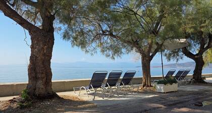 Garden apartment 20m from the sea