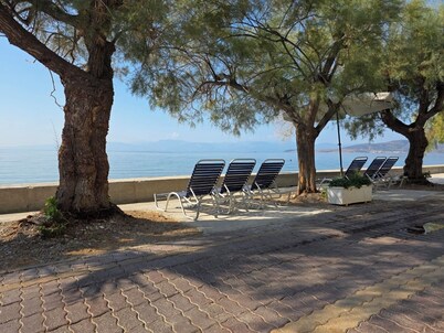 Garden apartment 20m from the sea