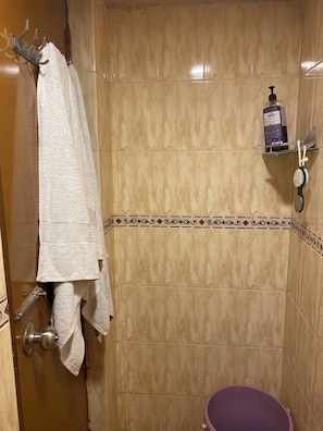 Doccia, asciugacapelli, asciugamani, sapone