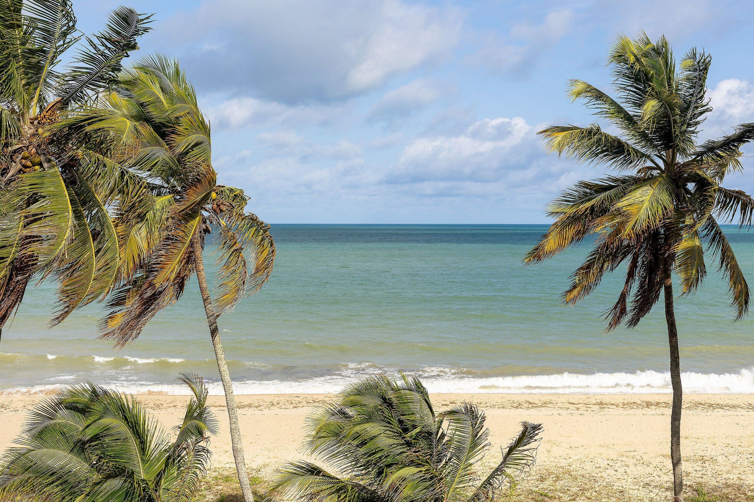 Premium Apartment | Beach