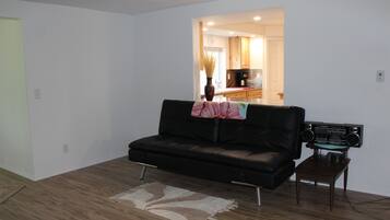 Smart TV, fireplace, books, stereo