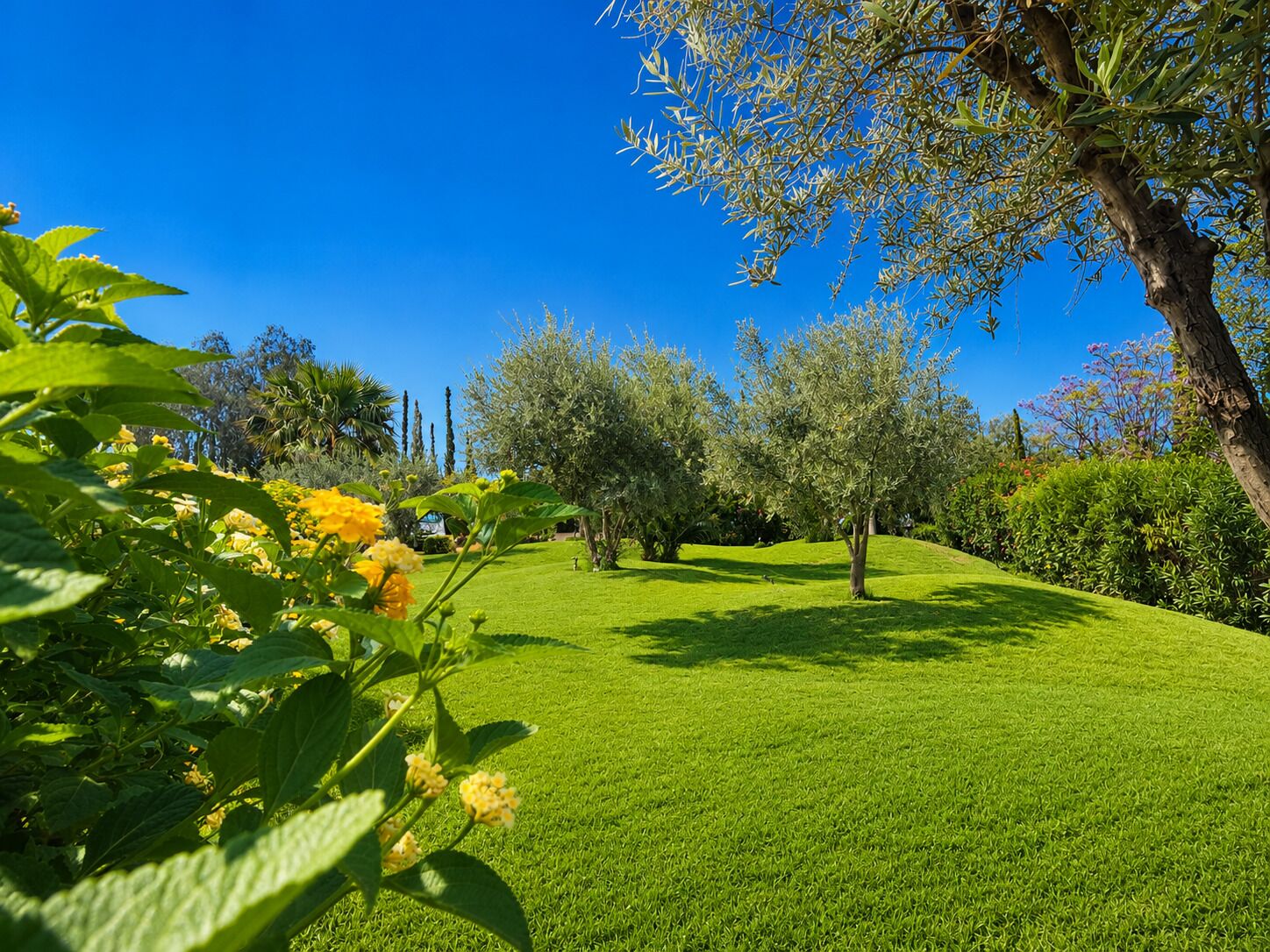 Foto - Ourika Camp Suites Hotel & Resort