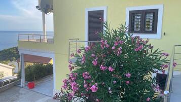 Apartment | Property grounds