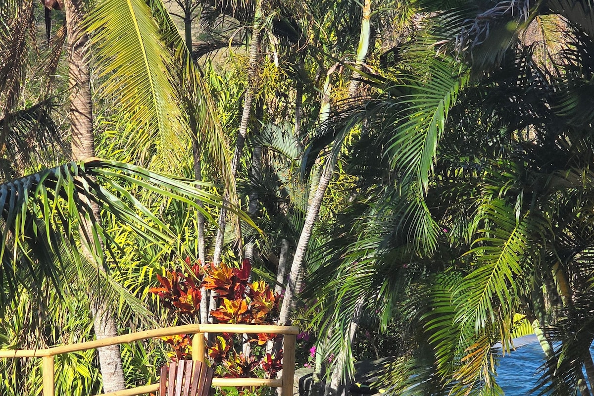 A tropical garden with palm trees, a wooden bench, and a stone water feature.