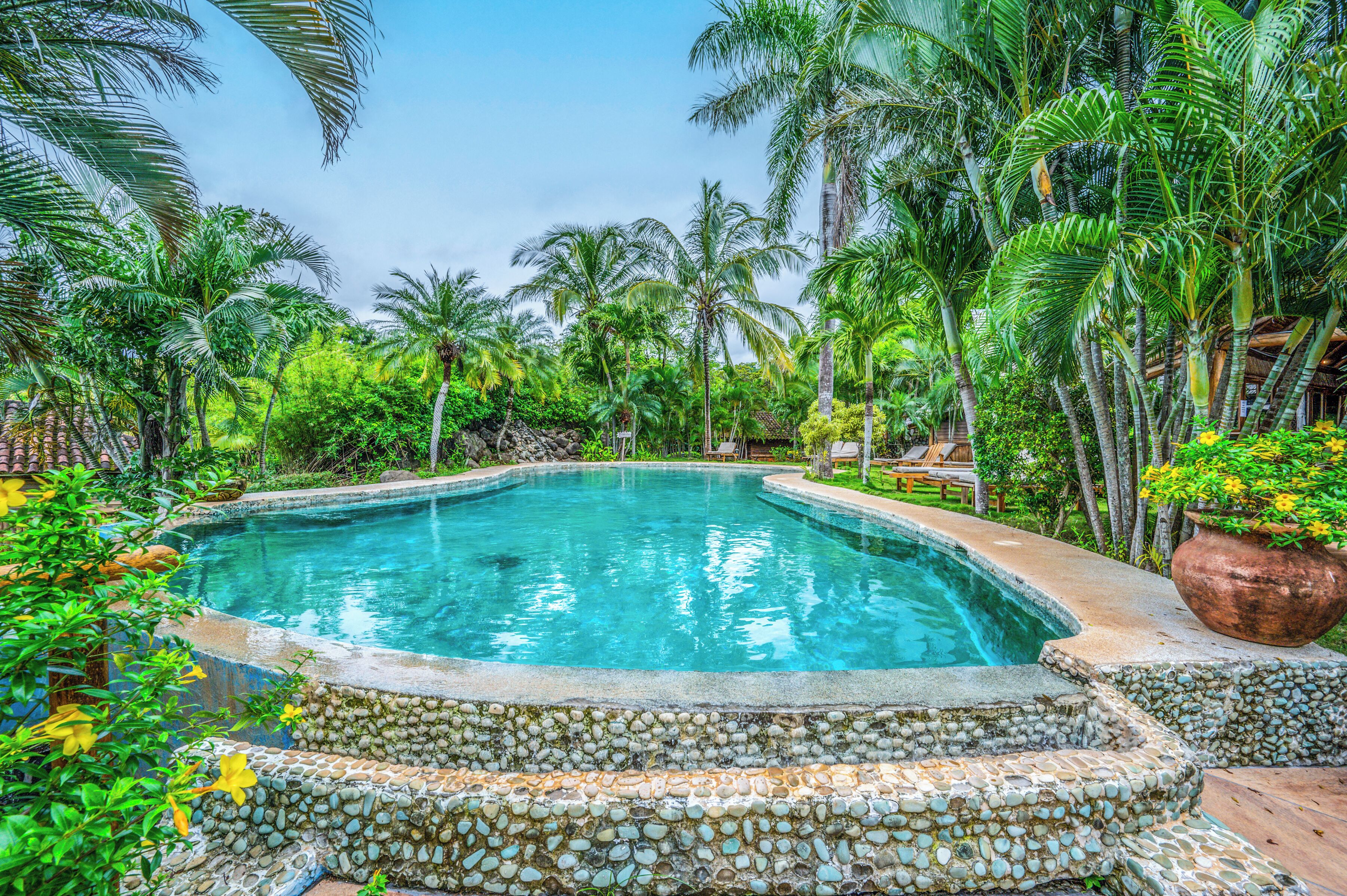 Una piscina rodeada de exuberante vegetación y palmeras.