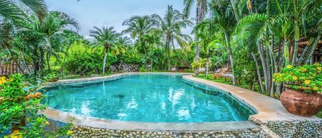 Una piscina rodeada de exuberante vegetación y palmeras.