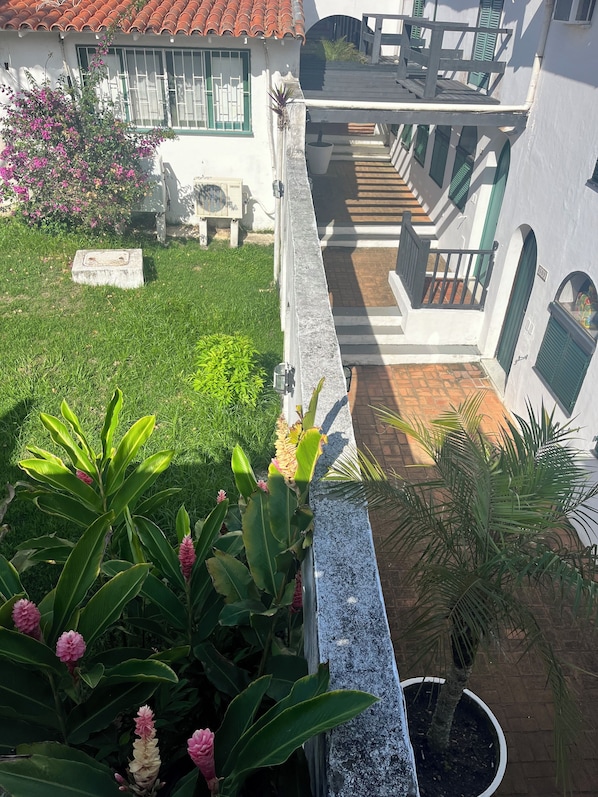 Área da propriedade