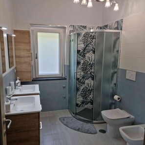 Shower, hair dryer, bidet, towels