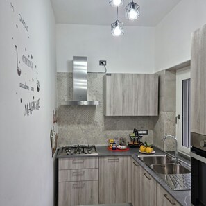 Fridge, oven, stovetop, electric kettle