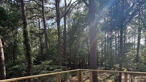 A wooden deck with a metal railing overlooking a forested area.
