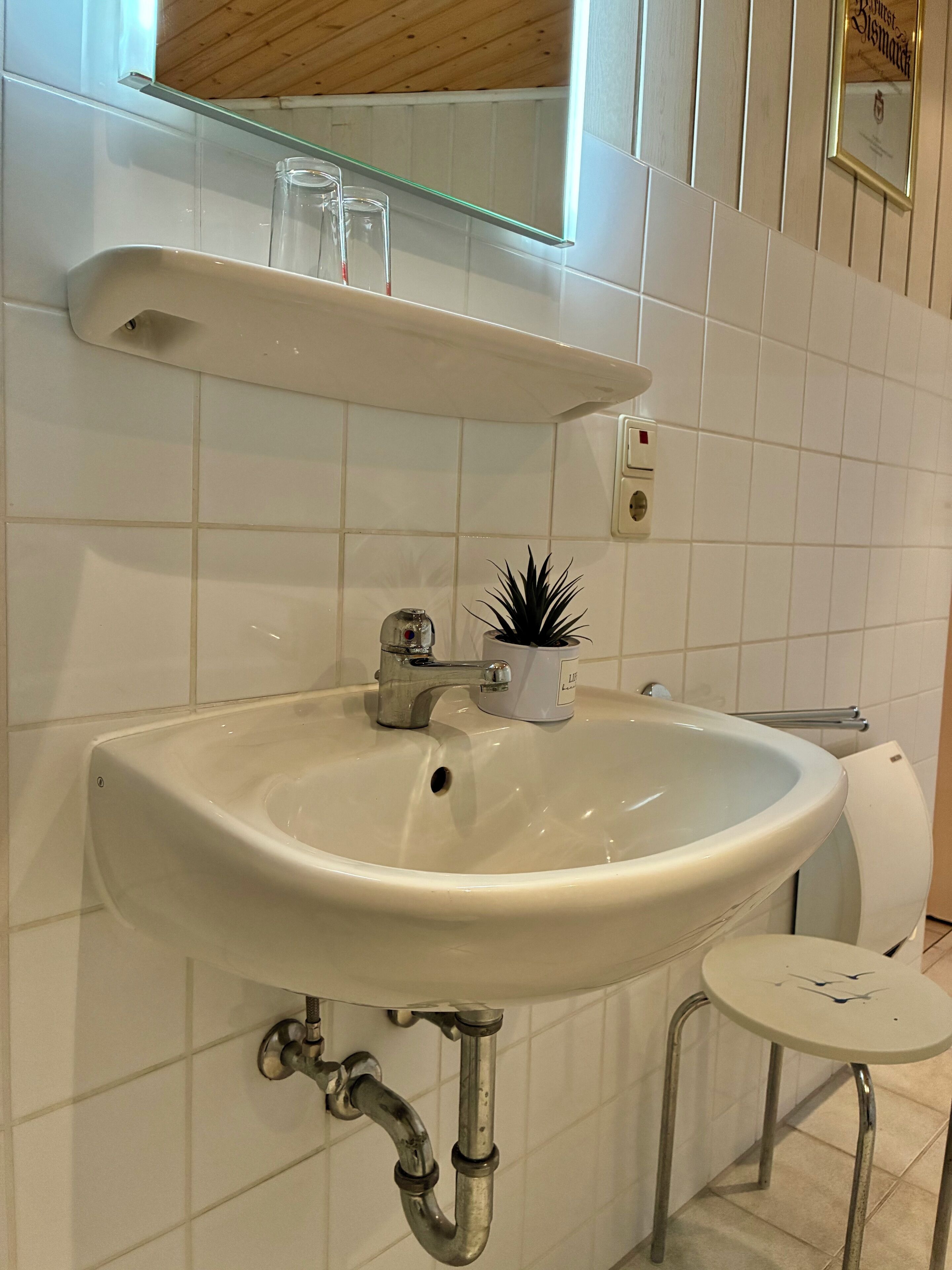 A bathroom with a white sink, a small potted plant, a glass shelf, and a mirror.