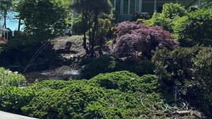 A house with a porch, surrounded by lush greenery and a small pond.