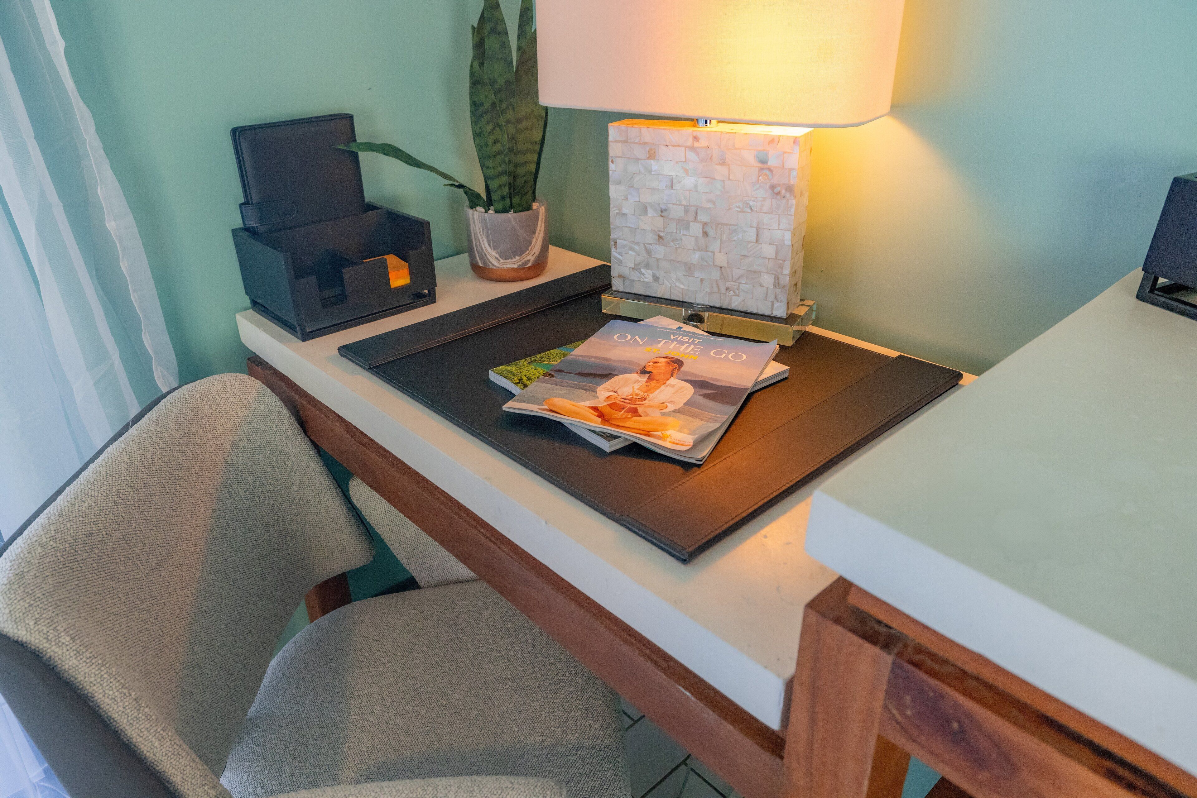 A desk with a lamp, a plant, and a magazine.