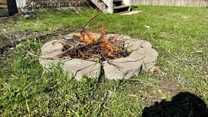 A concrete fire pit with burning wood in a grassy backyard. - The Blue Jay - Cozy 1-bedroom house in Virginia with WiFi, sleeps 4 (Virginia)