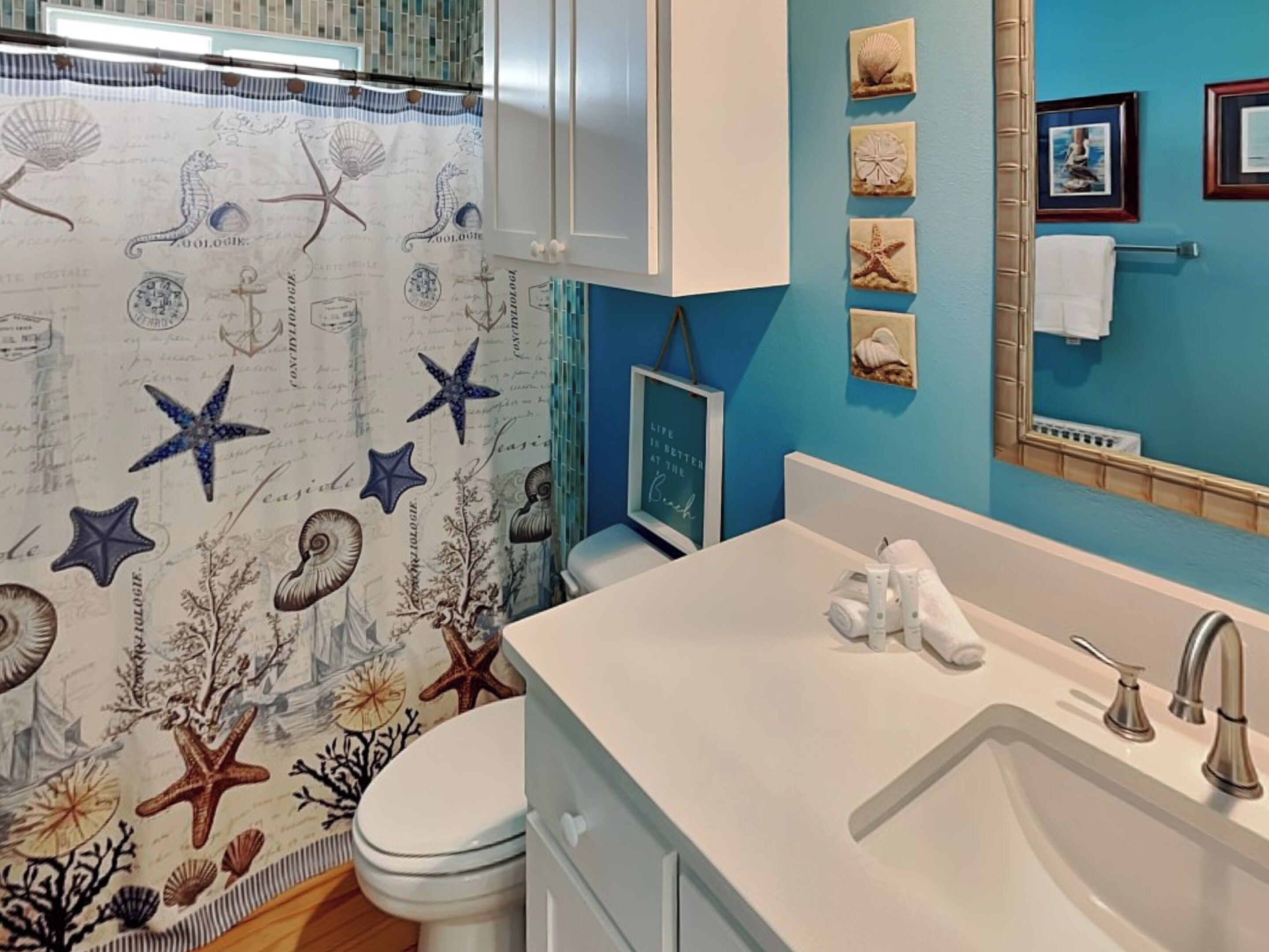 A bathroom with a blue wall, a white sink, and a toilet. There are starfish and seashells on the wall and shower curtain.