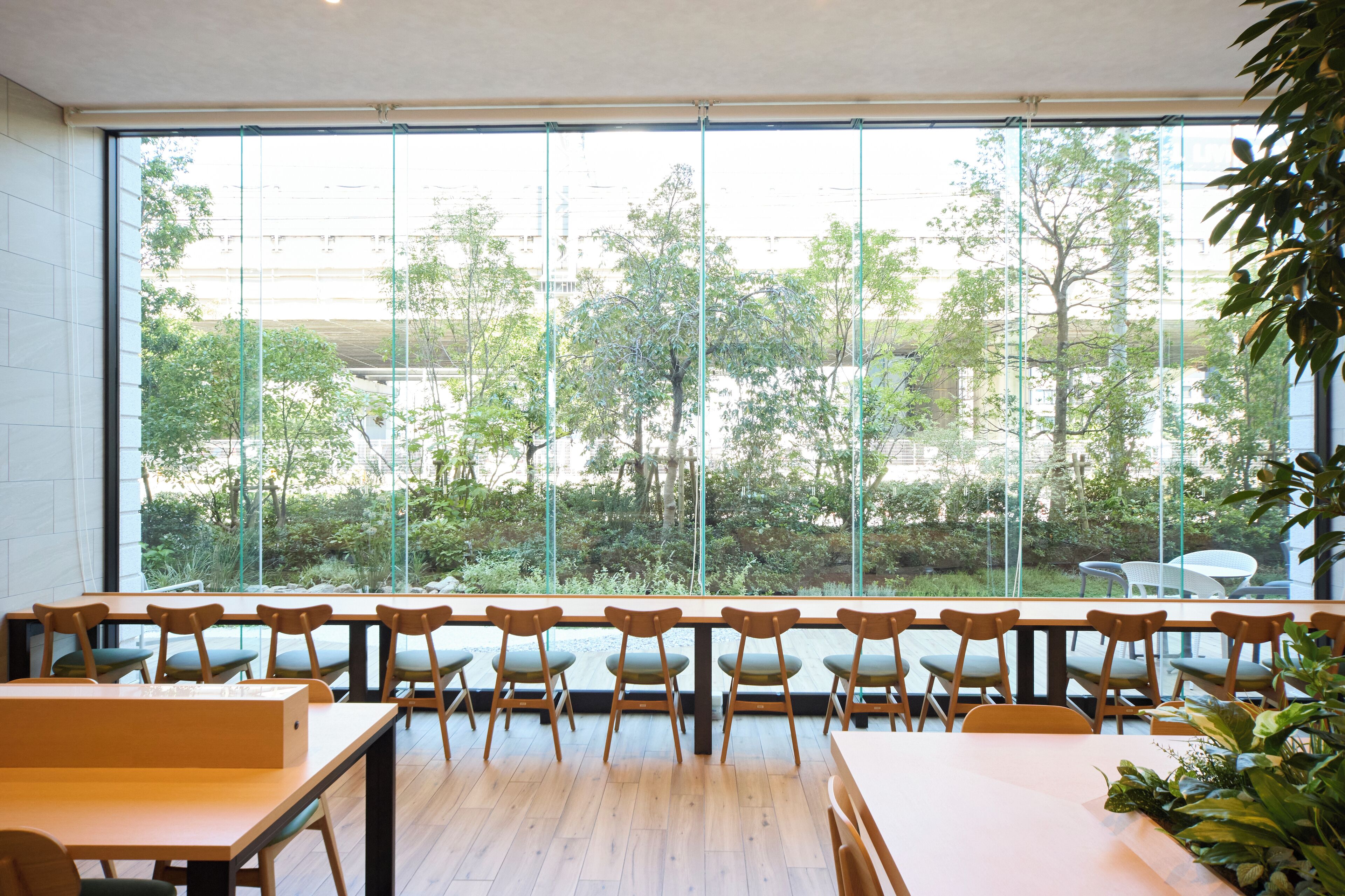 Un comedor con mesas y sillas de madera, ventanas amplias con vistas a árboles y edificios.