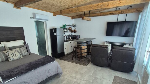 Een moderne woonkamer met een bank, een bed, een televisie en een keukenhoek.