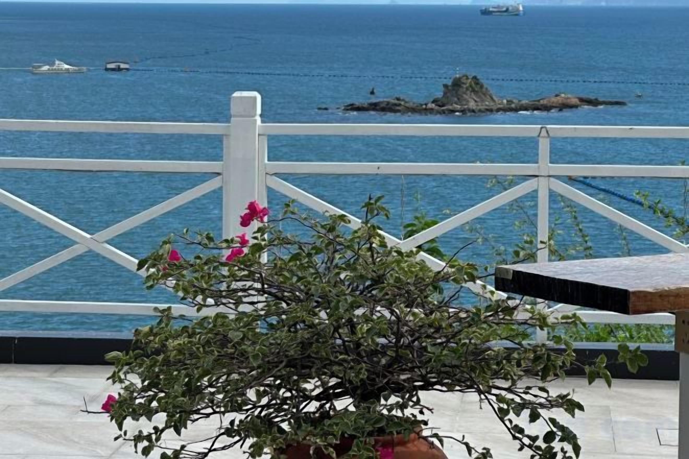 Una planta en maceta con flores rosas frente a una cerca blanca con vista al mar.